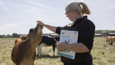 RSPCA standards cover all aspects of cow welfare associate with milk production such as calf rearing, accommodation, feeding and grazing